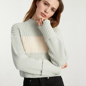 Everlane Organic Cotton Ribbed Roll Sleeve Sweater Striped NWT Size XL